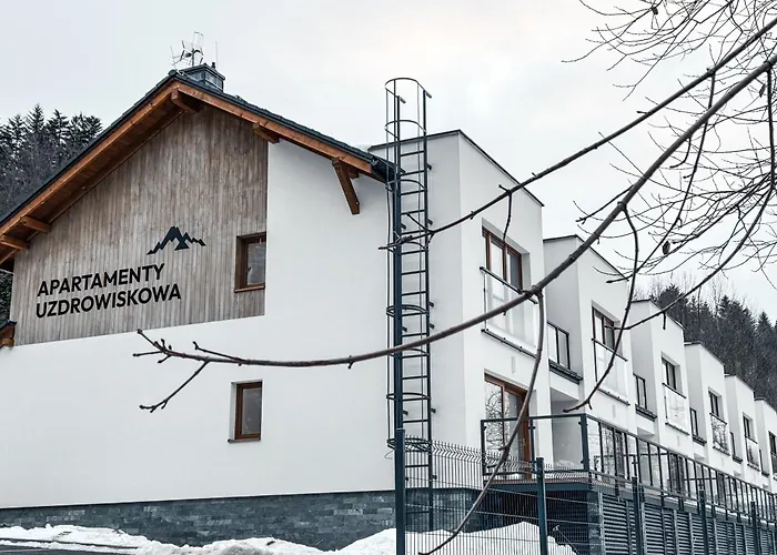 Przystanek Uzdrowiskowa *